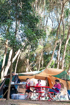 BIG4 Yarra Valley Holiday Park - Accommodation Bookings 8