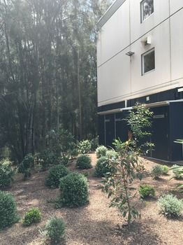 Ibis Budget Gosford - Accommodation Bookings 14