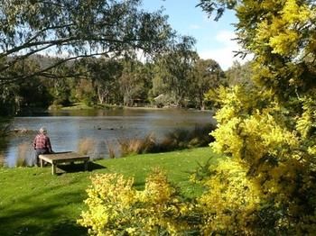  Accommodation Bookings