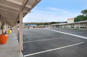 The Ashwood Motel - Accommodation Bookings 4