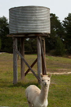 Seclusions Blue Mountains - Accommodation Bookings 6