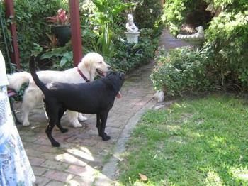 Hamilton Heritage B&B - Accommodation Bookings 1