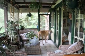 Hamilton Heritage B&B - Accommodation Bookings 2