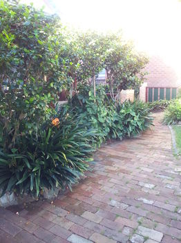 Hamilton Heritage B&B - Accommodation Bookings 14