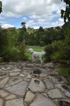 Coverdales B & B At Eumundi - Accommodation Bookings 23