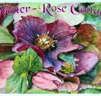 A Winter-rose Cottage BampB - Accommodation Bookings