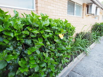 Windmill Motel - Accommodation Bookings 31