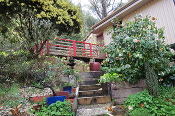 Cherryblossom B&B - Accommodation Bookings 12