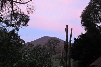 Cherryblossom B&B - Accommodation Bookings 35