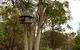 Buffs At Pokolbin - thumb 2