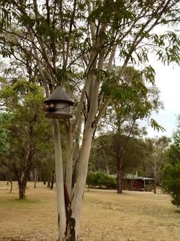 Buffs At Pokolbin - Accommodation Bookings 2