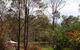 Buffs At Pokolbin - thumb 10