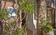 Bondi Beach House - thumb 1