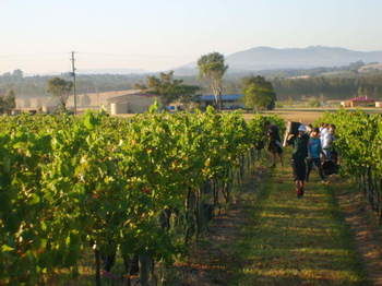 Broken View Estate - Accommodation Bookings 9