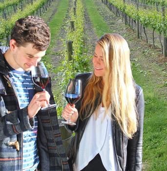 Valley Farm Vineyard Cottages - Accommodation Bookings 0