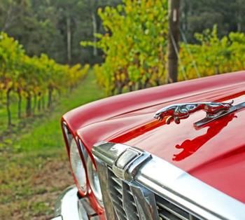 Valley Farm Vineyard Cottages - Accommodation Bookings 1