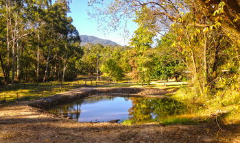 Valley Farm Vineyard Cottages - Accommodation Bookings 3