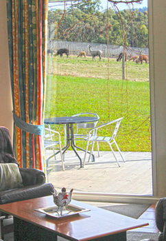 Valley Farm Vineyard Cottages - Accommodation Bookings 9