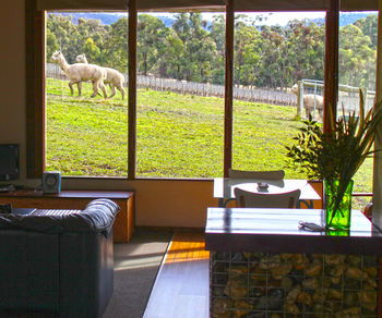 Valley Farm Vineyard Cottages - Accommodation Bookings 17