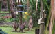 Jervis Bay Cabins - thumb 6