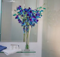 Grand Hotel Wyong - Accommodation Bookings