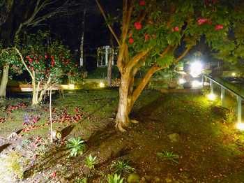 Aquila Nova Retreat - Accommodation Bookings 43