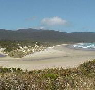 Cloudy Bay Cabin - Accommodation Bookings