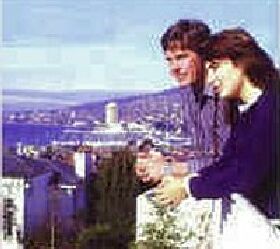 Blue Hills Motel - Accommodation Bookings 1