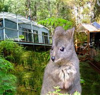 Huon Bush Retreats - Accommodation Bookings
