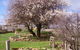Lakeview Cottage - thumb 3