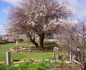Lakeview Cottage - Accommodation Bookings 3