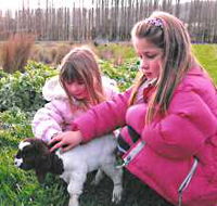Huon Valley Caravan Park - Accommodation Bookings