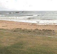 Penguin Caravan Park - Accommodation Bookings