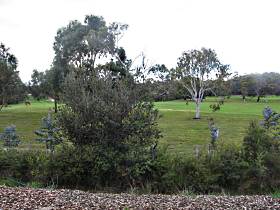 Bicheno Holiday Rentals - Hazards View Drive Coles Bay - Accommodation Bookings 1