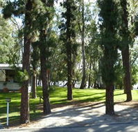 Barham Caravan  Tourist Park - Accommodation Bookings