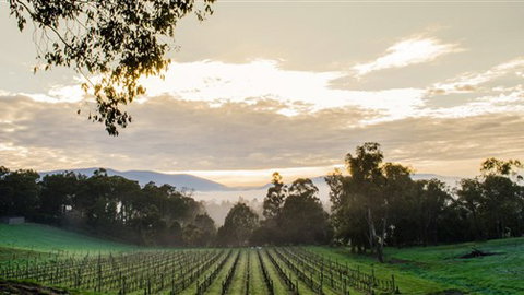 Ainsworth Estate - Accommodation Bookings 1