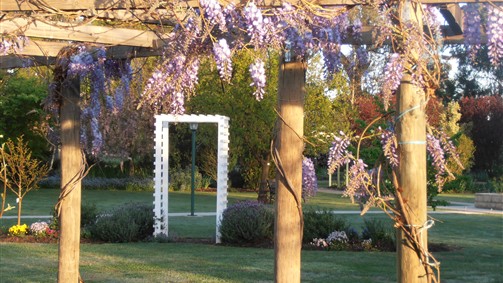 Stableford House Bed & Breakfast - thumb 5