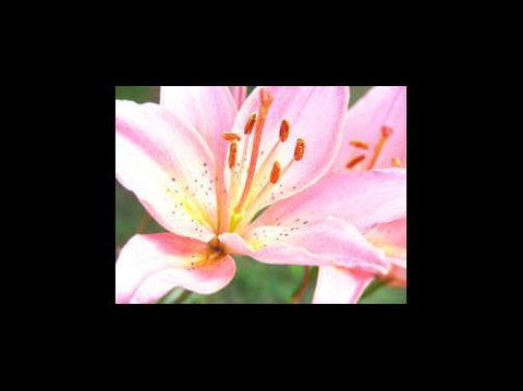 A Country House At Winstanley - Accommodation Bookings 3