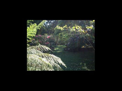 A Country House At Winstanley - Accommodation Bookings 4