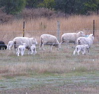 Auberge Woodend - Accommodation Bookings