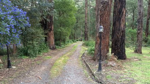 Wattle Tree Creek Cottages - Accommodation Bookings 5