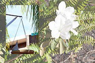Cleveland Visitor Villas Motel - Accommodation Bookings 2