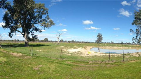Twin Palms Cottage - Accommodation Bookings 6