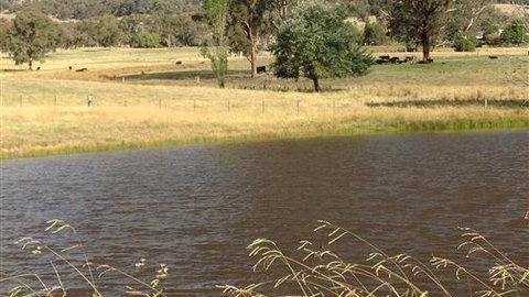 Black Horse Park - Accommodation Bookings 4