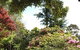 Chestnut Springs - thumb 2