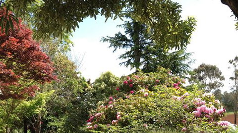 Chestnut Springs - Accommodation Bookings 2