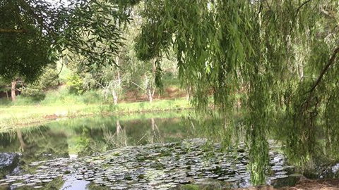 Chestnut Springs - Accommodation Bookings 7