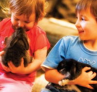 Macka's Farm - Accommodation Bookings