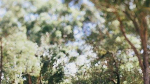 The Cottage At Bolobek - Accommodation Bookings 5