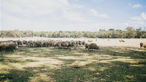 The Cottage At Bolobek - Accommodation Bookings 6